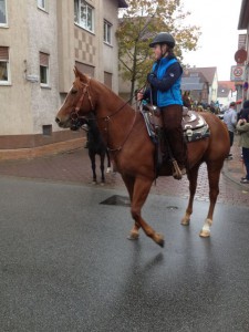 12113508_769533143155775_1881713558332784957_o